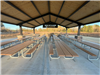 Picnic Tables Under the Shelter at Bend in the River Park